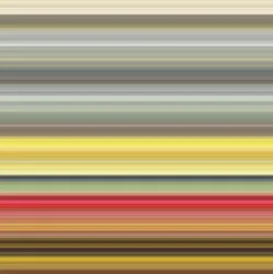 №49,2017,(写真)