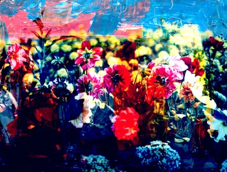 フィールド,2019,(コラージュ)
