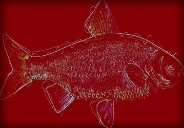 Fish V,2020 ,(ミクストメディア)
