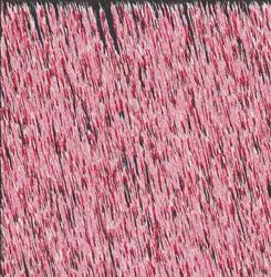 Margin I,2019,(mixed media)