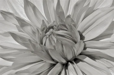 Untitled,2019,(photography)