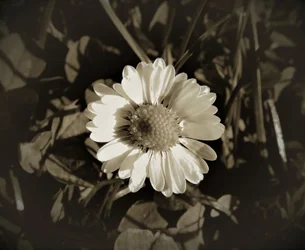 Untitled,2019,(photography)