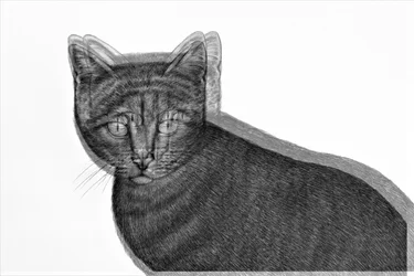 電気猫,2019,(mixed media)