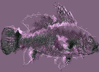 fish III,2020,(ミクストメディア)
