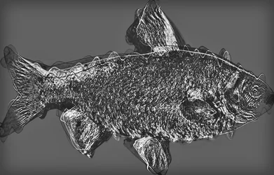 灰色の魚、2020年、（ミクストメディア）