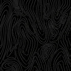tree rings,2017,(mixed media)