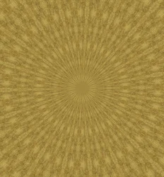 アンタイトル,2019,(ミクストメディア)
