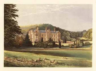 イギリス、デボン州マムヘッド。 、1880年（彫刻）