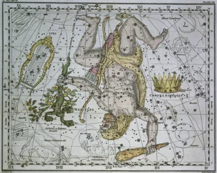 ヘラクレス、「A Celestial Atlas」、パブ。 1822年