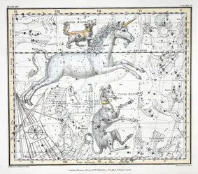 星座（プレートXXV） 大犬座、小犬座、一角獣、アルゴ・ナビス、l