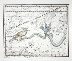星座（プレートXXVII）Hydra Continua、Crater、Cuvus、Centaurus et Lupus、Alexander Jamiesonによる &39;A Celestial Atlas&39;から。ロンドン1822（手描きの彫刻）