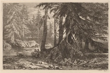 Alexandre Calameによるエッチングの試み、III、pl。 16