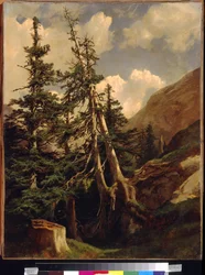 Calame, Alexandre (1810-1864)の「山の中のモミ」。キャンバスに油彩、サイズ：68,5x53。モスクワ、国立A.プーシキン美術館