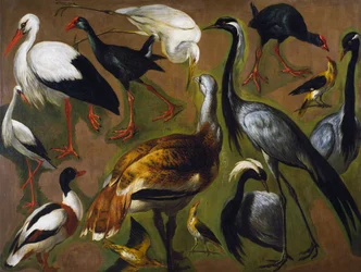 アレクサンドル・フランソワ・デスポータス（1661-1743）による「鳥の研究」（フランス