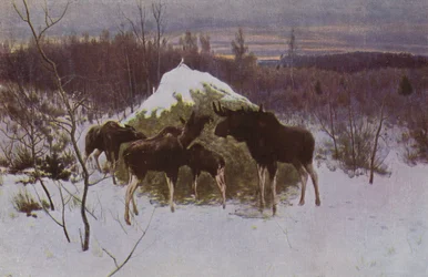 エルクの群れ、1889年