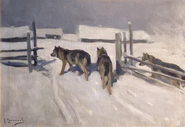 オオカミ。冬の夜。 1910年頃