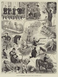 Hengler&39;s Circusでのアーティストのメモ、ホリデーエンターテイメント