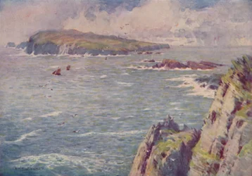 人の子牛、1910