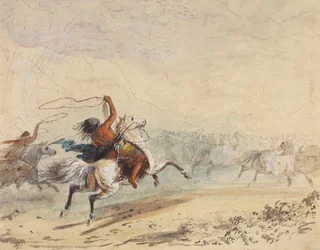 投げ縄の野生の馬、1837年頃（紙に鉛筆、ペン、インク、水彩、グワッシュ）