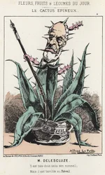 棘のあるサボテンルイ・シャルル・ドリスクルーズ（1809-1871）の漫画 - 1871年1月16日の「今日の花、果物、野菜」の図版
