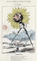 ル・ソレイユ（ヒマワリ）：ガンベッタ（1838-1882）の風刺画 - 1871年12月1日の「今日の花、果物、野菜」の図版