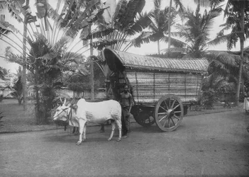 セイロンブロックカート、c1890、1910