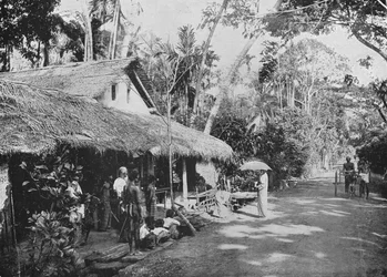 ボラレスガムワ、c1890、1910