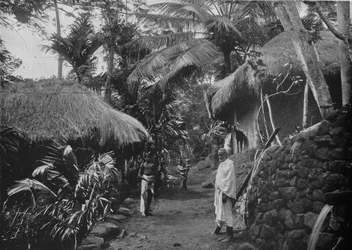 ジャングルの先住民族の小屋、c1890、1910