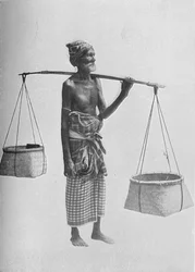 ピンゴキャリア、c1890、1910