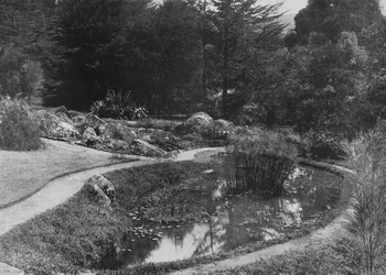 ロックガーデン、ハッガラガーデン、ヌワラエリヤ、c1890、1910