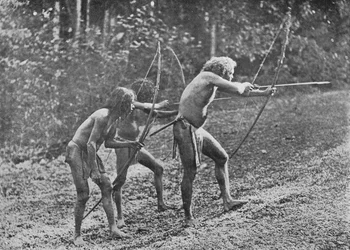 ヴェッダまたは野生の男性、c1890、1910