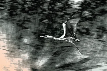 聖地からの飛行、2015年（手描きリペイント写真）