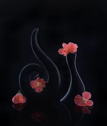 黒地に珊瑚色の花