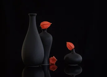 オレンジ色のホオズキの静物画