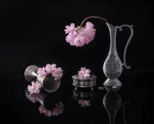 銀と桜