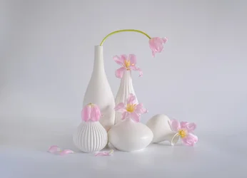 淡いピンクのチューリップの静物画