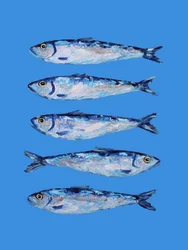 青いイワシ5匹