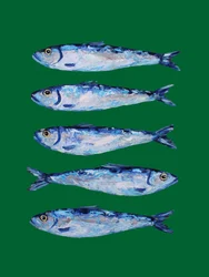 5匹のイワシの絵