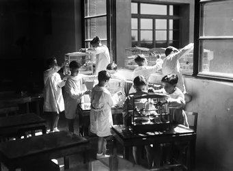 ヴィラ・ローザ・マルトニ・ムッソリーニ：籠の中の鳥を観察する学生たち（モノクロ写真