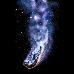 宇宙を落下する