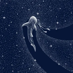 ジンベエザメの銀河の旅