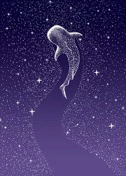 ジンベエザメと泳ぐ