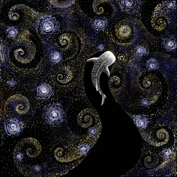 ジンベエザメの星降る夜