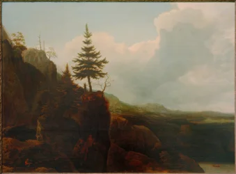 モミの木のある山の風景