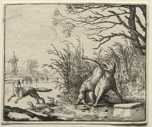 フォックス・レナード：オオカミの新しい告発。