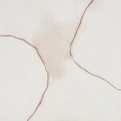柔らかな流体のようなフォルム