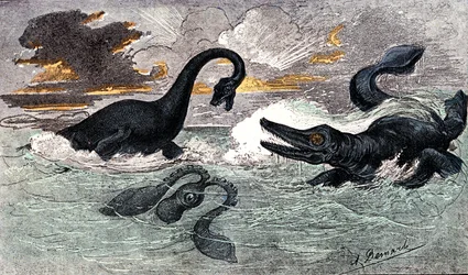 リアス期（下部ジュラ紀）：プレシオサウルスとイクチオサウルス、天地創造と生物（ジュール・レンガード作） A.デマール作画1885