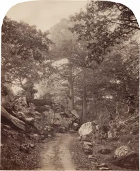 フォンテーヌブロー、1860年代頃（写真）