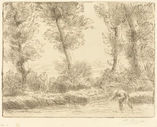 Liane Les bords de la Lianeの銀行。