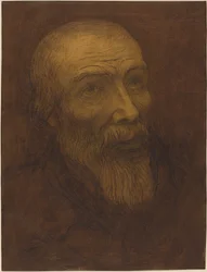 あごひげを生やしたハゲ男の頭